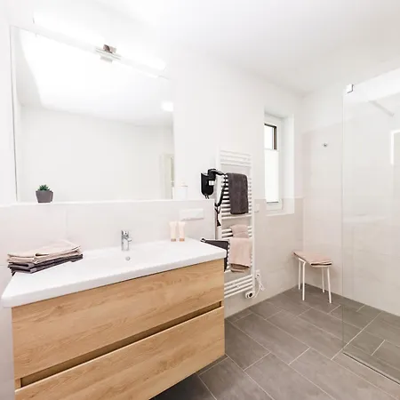 Harz-eleganz Haus F Mit 3 Appartments Casa vacanze Sankt Andreasberg