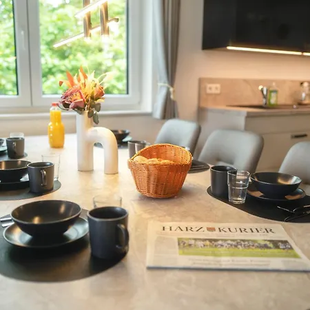 Harz-eleganz Haus F Mit 3 Appartments Sankt Andreasberg