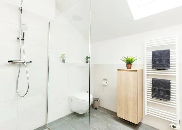 Harz-eleganz Haus F Mit 3 Appartments * Sankt Andreasberg