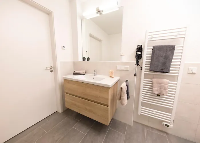 Harz-eleganz Haus F Mit 3 Appartments Tatil Evi Sankt Andreasberg