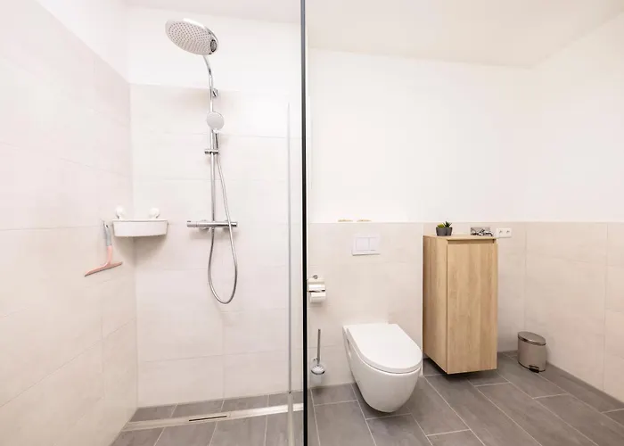 Harz-eleganz Haus F Mit 3 Appartments *